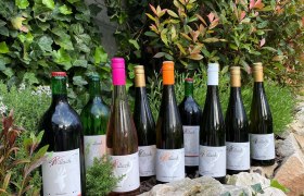 arkadenhof, © Familie Willach Auf einer Mauer trapierte Weinflaschen