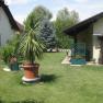 Fam. Zelenka, © Zelenka Gepflegter Garten mit Rasen, Topfpflanzen und zwei Häusern.