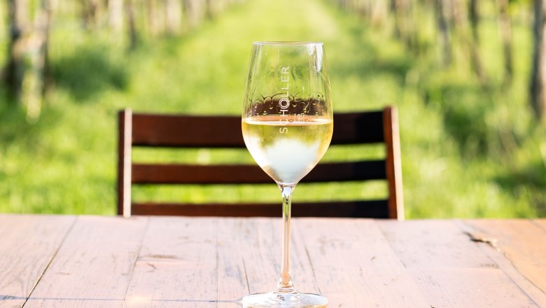 Weinverkosten wo der Wein herkommt, © Stefanie Winter Weinglas inmitten der Weingärten