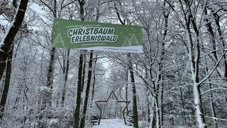 Christbaumerlebniswald, © christbaumerlebniswald.at Christbaumerlebniswald, © christbaumerlebniswald.at