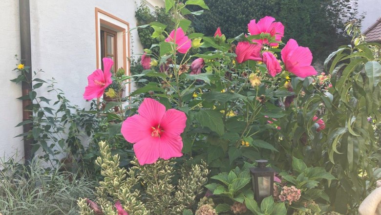 garten-am-renaissancehof-kerschner, © Mostviertel Tourismus, Eva Stern garten-am-renaissancehof-kerschner, © Mostviertel Tourismus, Eva Stern