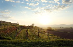 Traisental, © Weinfranz.at Traisental, © Weinfranz.at