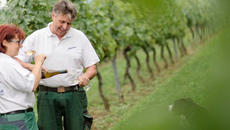 Weingut Herzinger, © schwarz-koenig.at Weingut Herzinger, © schwarz-koenig.at