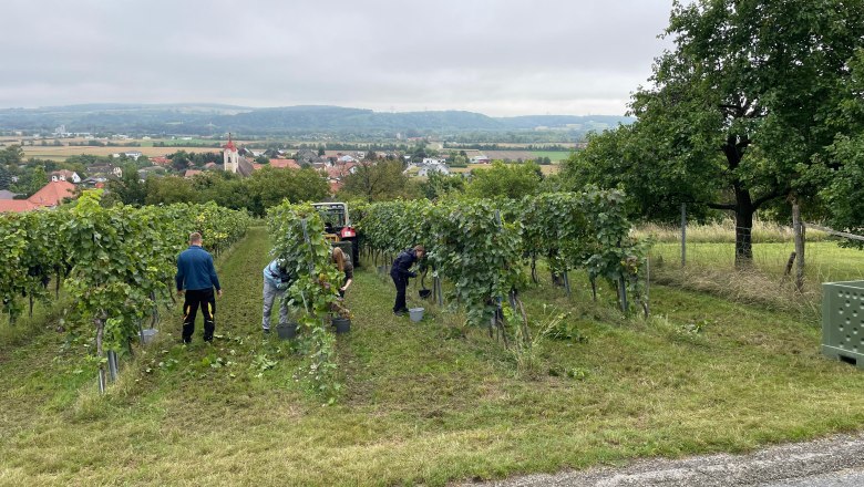 Leser, © Bauer Biohof Leser, © Bauer Biohof