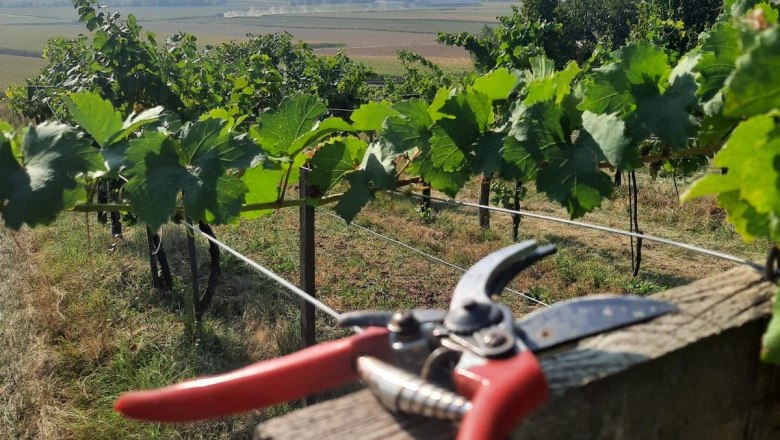 Biohof Bauer, © Bauer Biohof Biohof Bauer, © Bauer Biohof