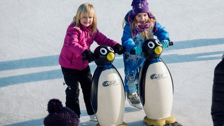 Kunsteislaufplatz Herzogenburg, © Egon Fischer Kunsteislaufplatz Herzogenburg, © Egon Fischer