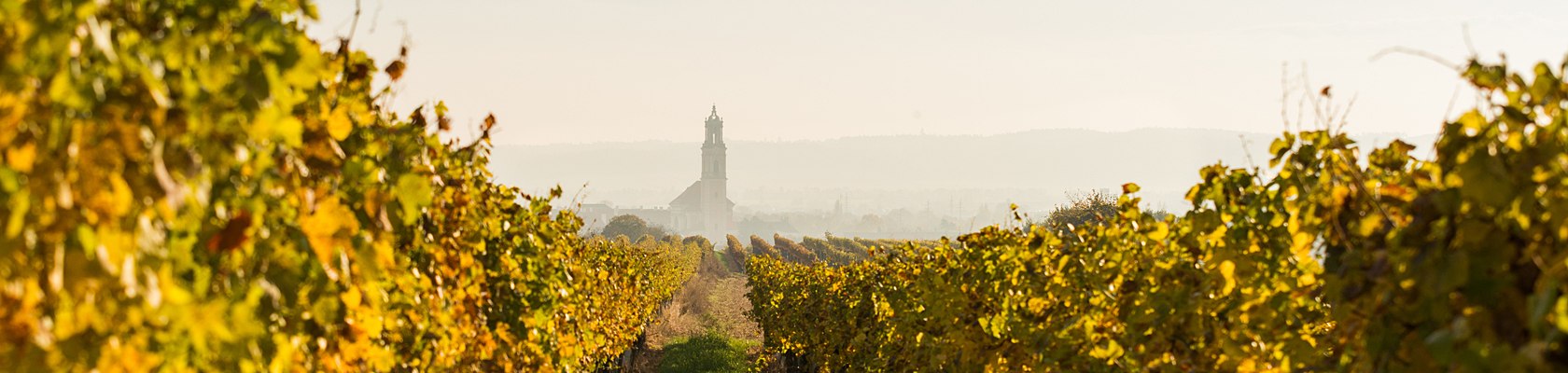 Ausblick auf das Stift Herzogenburg, © dphoto.at