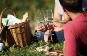 Picknick, &copy; weinfranz.at