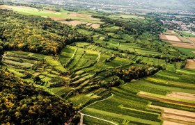 Blick über das Traisental, © Robert Herbst/pov.at