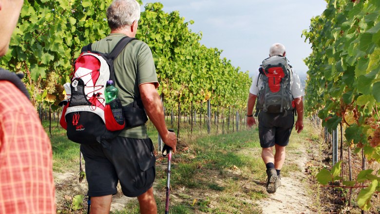 Wanderung durch die Weingärten, © Mostviertel Tourismus, weinfranz.at