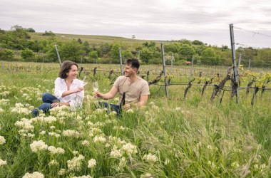 Weinfr&uuml;hling, &copy; pov.at