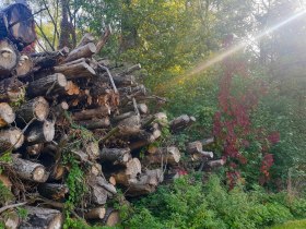 Kronau, © Donau Niederösterreich - Kamptal-Wagram-Tullner Donauraum