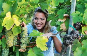Frau in einem Weinberg, die durch Weinreben schaut.