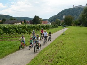 Radeln an der Fladnitztal-Radroute, &copy; Geitzenauer