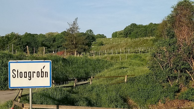 Riede, &copy; Weingut Simetzberger