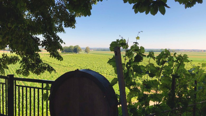 Blick auf Weinberge mit einem Weinfass im Vordergrund, umrahmt von Blättern.