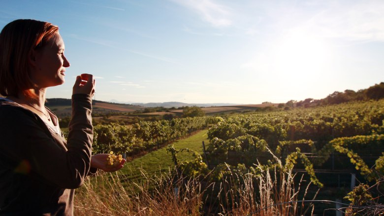 Ausblick Weingarten, © Mostviertel Tourismus, weinfranz.at