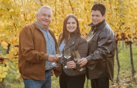Drei Personen stoßen mit Weingläsern in einem herbstlichen Weinberg an.