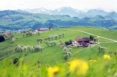 Blick auf die Moststraße, © Mostviertel Tourismus, weinfranz.at