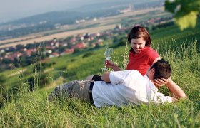 Ein Paar liegt auf einer Wiese im Traisental, die Frau h&auml;lt ein Weinglas. Im Hintergrund sind Felder und ein Dorf zu sehen.