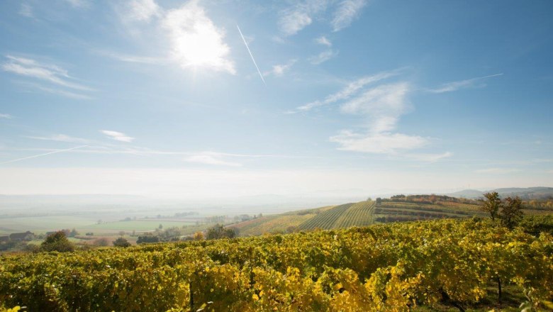 Weinberge unter blauem Himmel mit Sonnenschein und leichten Wolken.