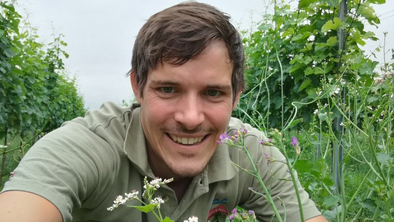 TDR-Winzer Altmann im Weingarten, &copy; Altmann