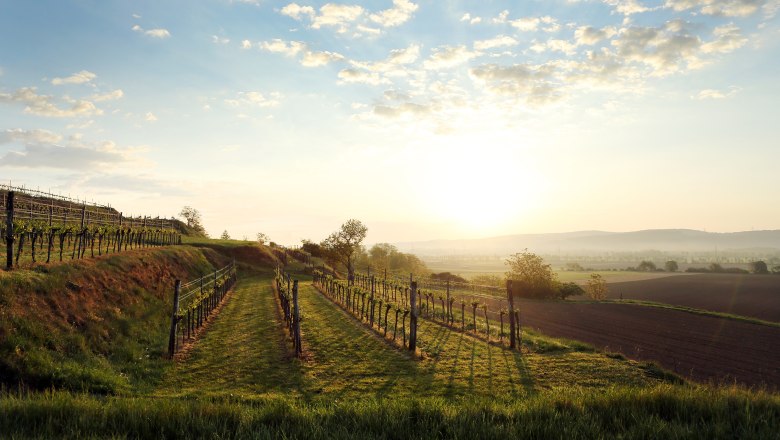 Traisental, &copy; Weinfranz.at