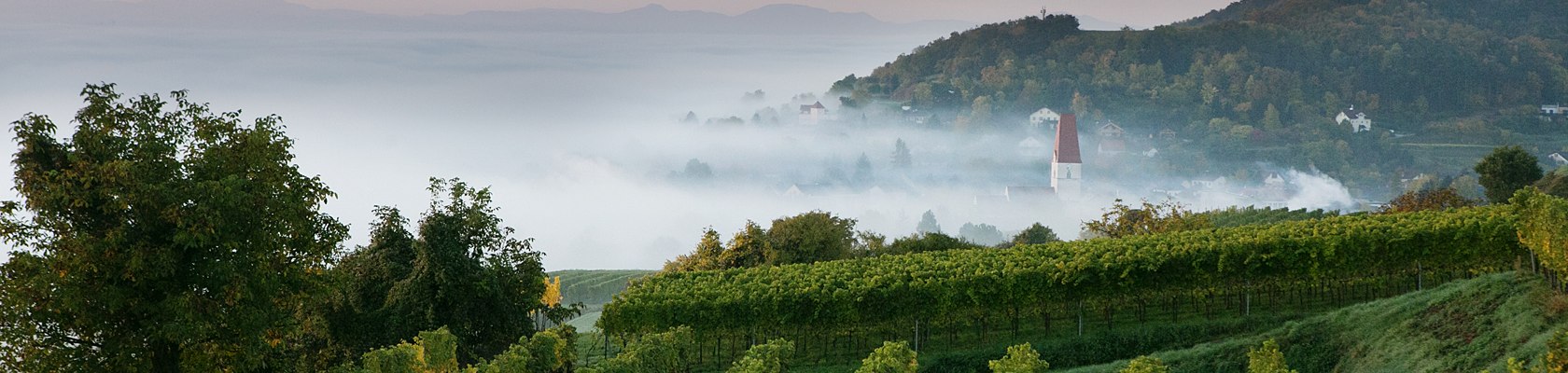 Blick aufs herbstliche Traisental, © schwarz-koenig.at