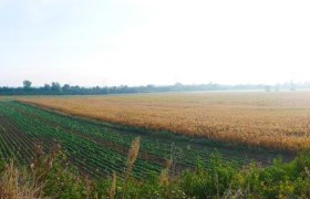 Die bronzezeitlichen Gr&auml;berfelder in Franzhausen, &copy; ARDIG/Volker Lindinger
