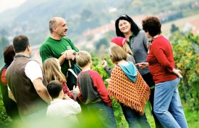 Führung mit einem Weinbegleiter, © Mostviertel Tourismus, weinfranz.at