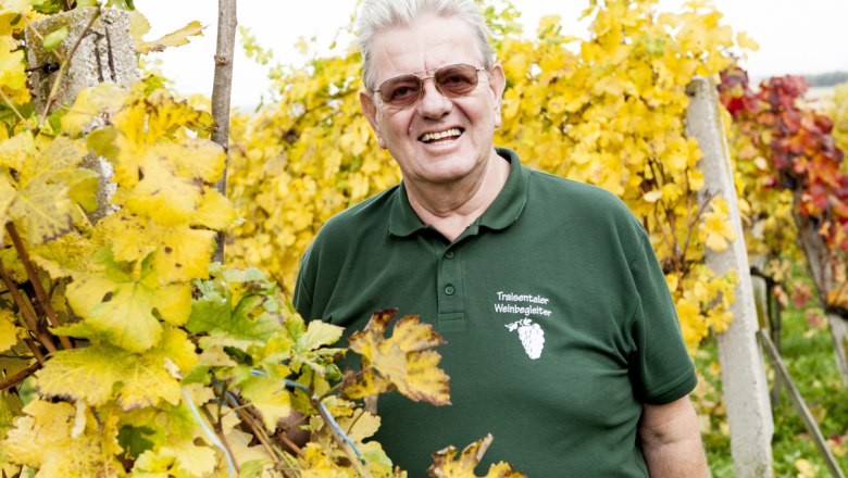 Günther Pfleger, © Mostviertel Tourismus, weinfranz.at