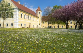 Schloss Atzenbrugg mit blühenden Bäumen und Wiese im Vordergrund.