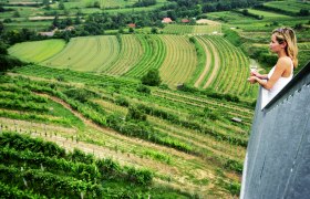 Aussicht vom Korkenzieher, © Mostviertel Tourismus, weinfranz.at