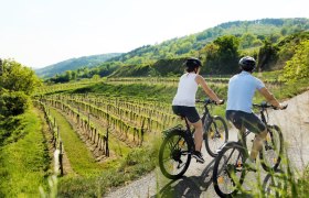 Auf Radtour durchs Traisental, © weinfranz.at