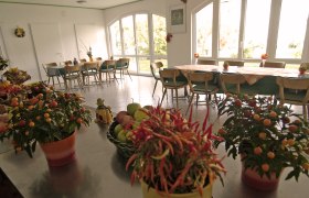 Ein heller Raum mit großen Fenstern, dekoriert mit Pflanzen und Obstschalen auf einem Tisch.