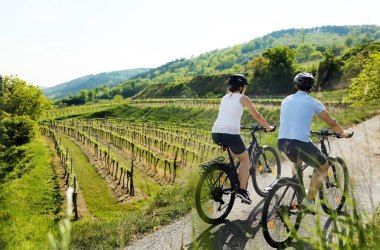 Auf Radtour durchs Traisental, © weinfranz.at