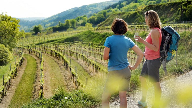 weinwandern2, © weinfranz.at