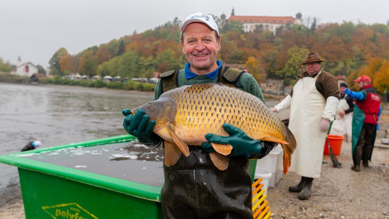 Ein Mann hält einen großen Karpfen vor einem Teich. Im Hintergrund sind weitere Personen und ein Gebäude auf einem Hügel zu sehen.