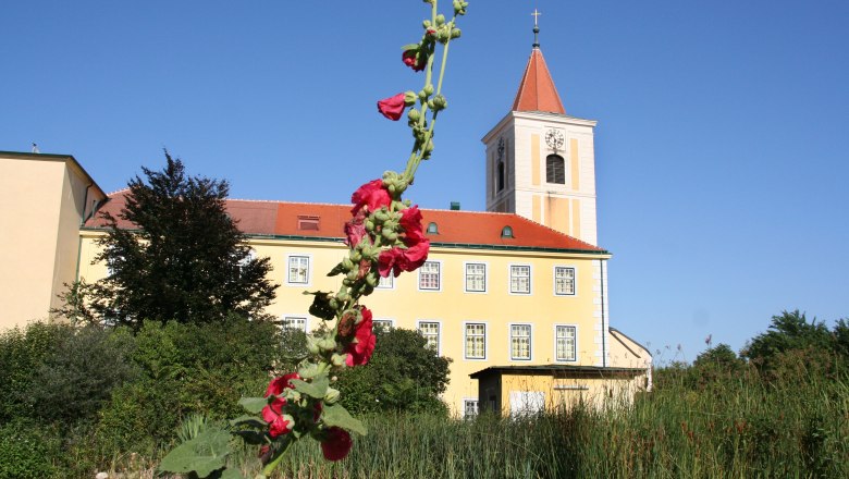 Kirche St. Andrä mit rotem Blumentrieb im Vordergrund.