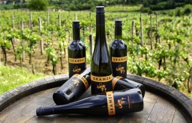 Weinbau Familie Gramer, &copy; fotostudio-wurst.at