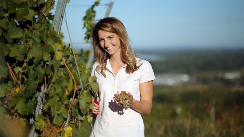 Beschwingte Tage im Weinland Traisental, &copy; weinfranz.at