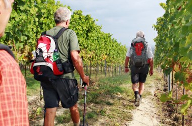 Wanderung durch die Weingärten, © Mostviertel Tourismus, weinfranz.at