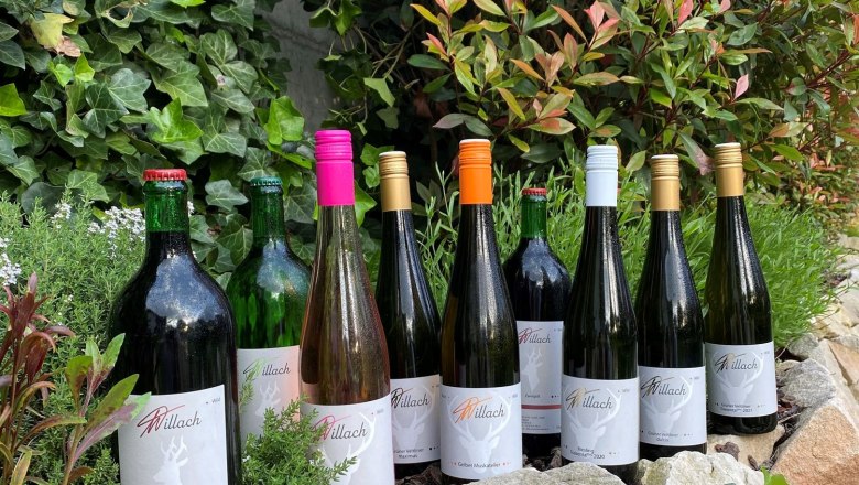 Auf einer Mauer trapierte Weinflaschen