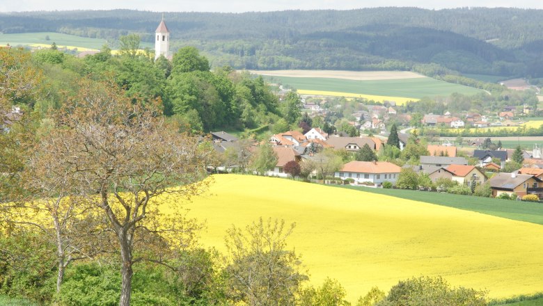 Landschaft mit gelbem Rapsfeld, Dorf und Kirchturm im Hintergrund.