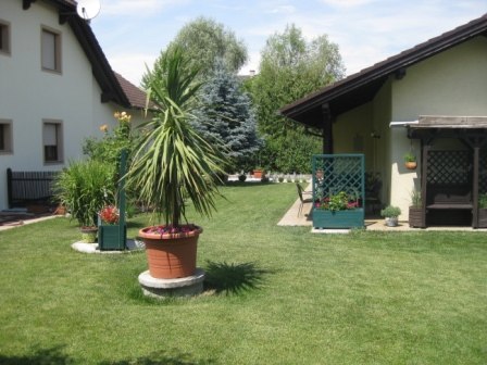 Gepflegter Garten mit Rasen, Topfpflanzen und zwei H&auml;usern.