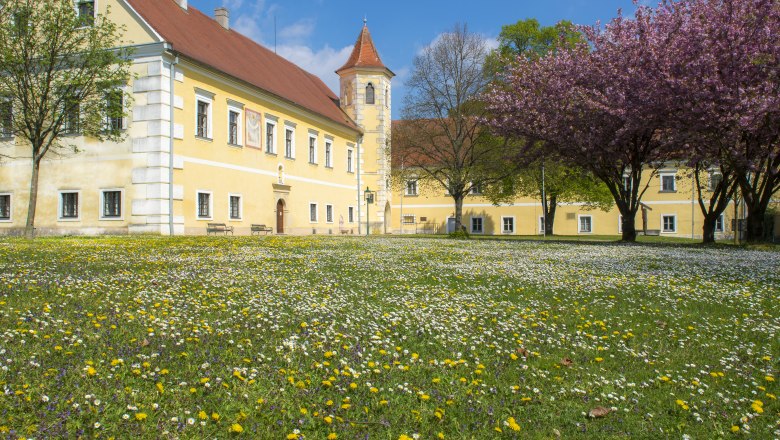 Schloss Atzenbrugg mit blühenden Bäumen und Wiese im Vordergrund.