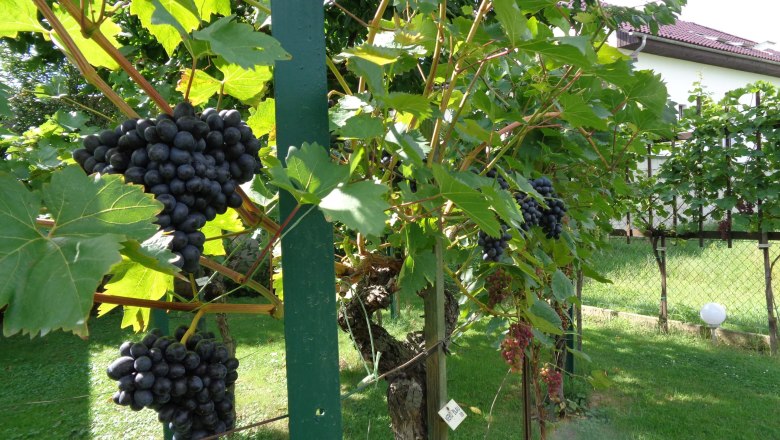 G&auml;stehaus Schlossblick, &copy; Marschik