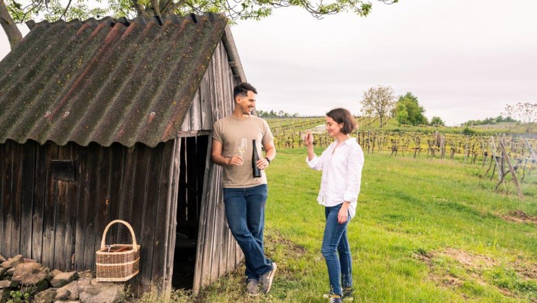 Weinfr&uuml;hling im Weinland Traisental, &copy; www.pov.at