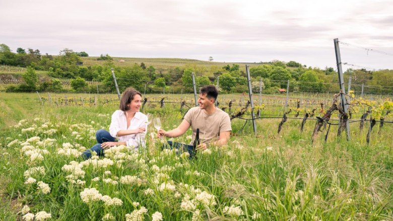 Weinfr&uuml;hling im Weinland Traisental, &copy; www.pov.at