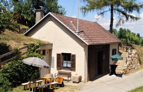 Kleines Presshaus mit Holztisch und Sonnenschirm davor, umgeben von Bäumen und Weinbergen.